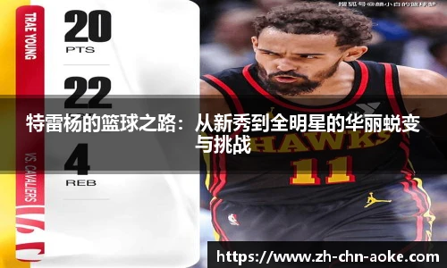 特雷杨的篮球之路：从新秀到全明星的华丽蜕变与挑战